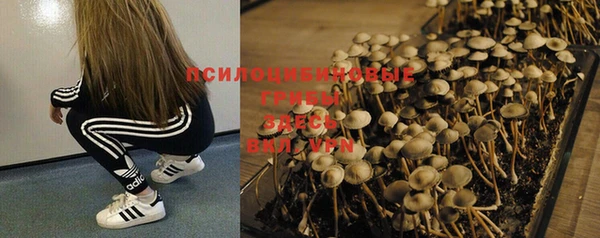 амф Абинск